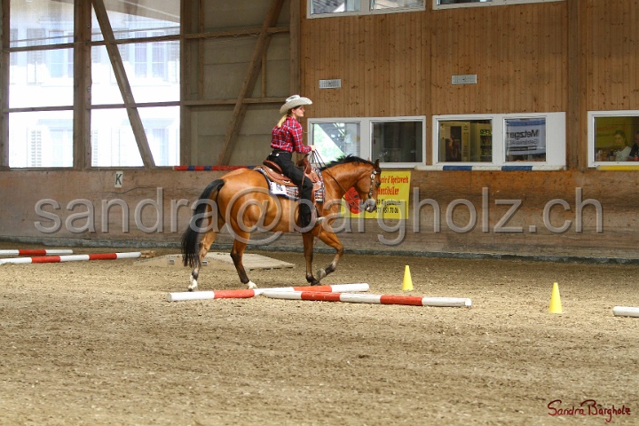 26-ApHC GT_051.jpg